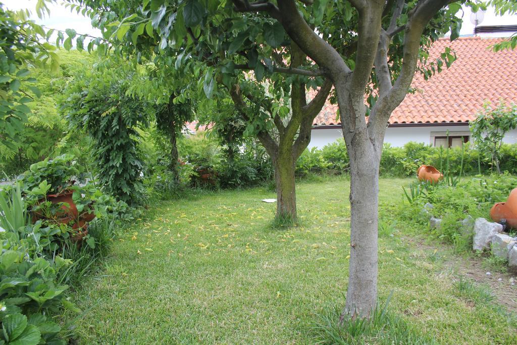 Casa De Tapadeiro Villa Resende Bagian luar foto